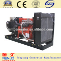 Generador diesel eléctrico de NENJO GF40YC 40KW / 50KVA YUCHAI con el alternador (30 ~ 660kw)